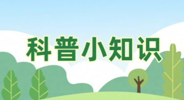 科学知识科普趣味分享图文——轻松打造专业设计模板