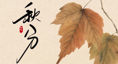 秋分节气文案海报设计推荐，精美模板轻松上手