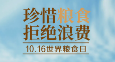 世界粮食日海报制作：多种风格模板制作，助你轻松设计出吸引人的作品
