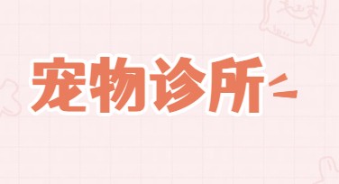 宠物诊所宣传模板设计都在这里，快来寻找灵感吧