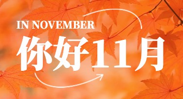你好11月：多样设计模板，创意无限