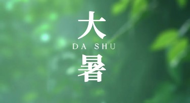 大暑创意设计，让你的作图更添夏日精彩