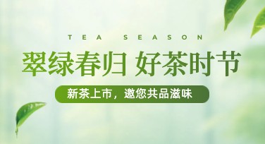 茶叶海报设计模板推荐，轻松打造高质量作品