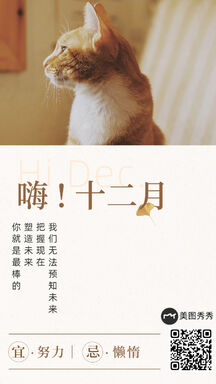 实景猫咪文艺励志日签海报 实景猫咪文艺励志日签海报模板图片