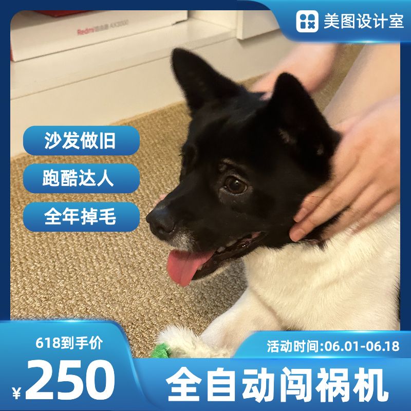 时尚商务风618宠物创意搞笑促销电商主图模板图片