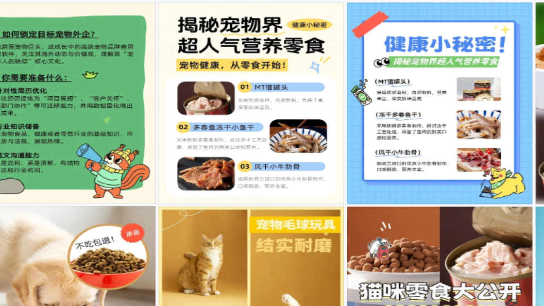宠物图文结合