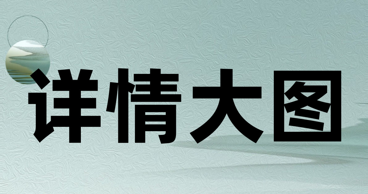 详情大图