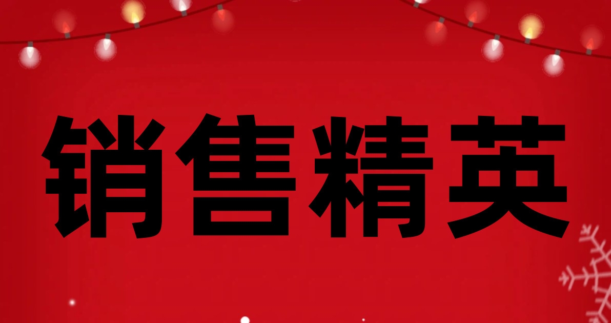 销售精英