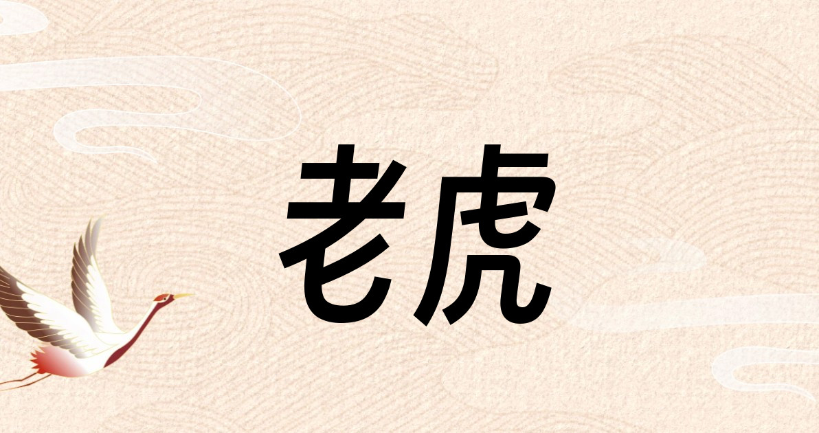 老虎