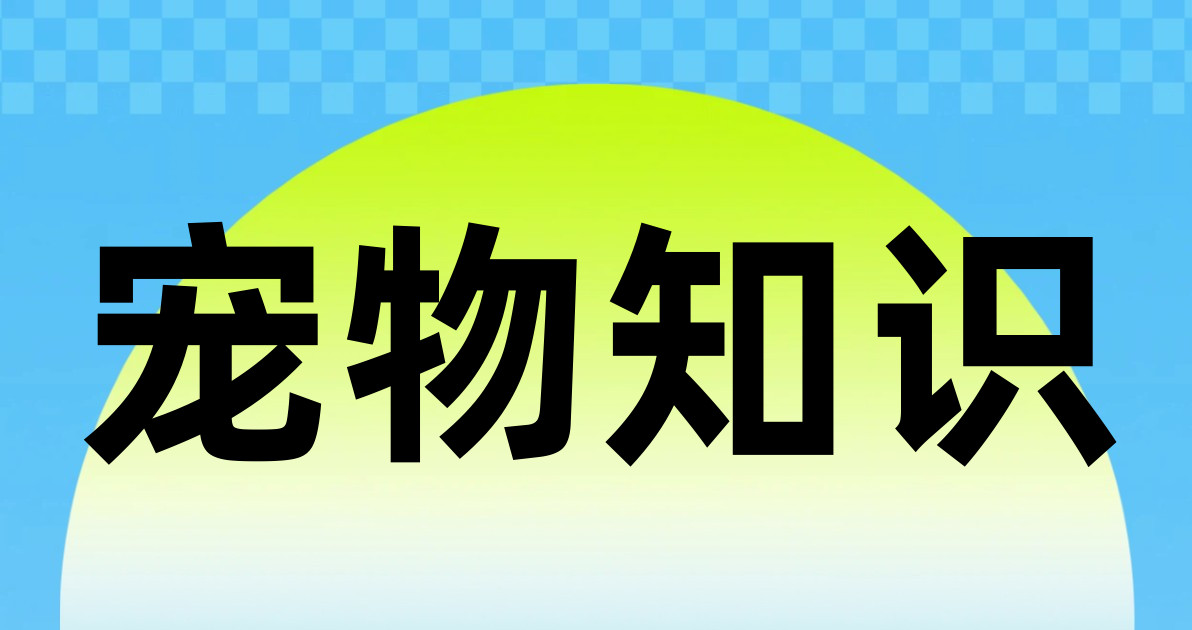 宠物知识