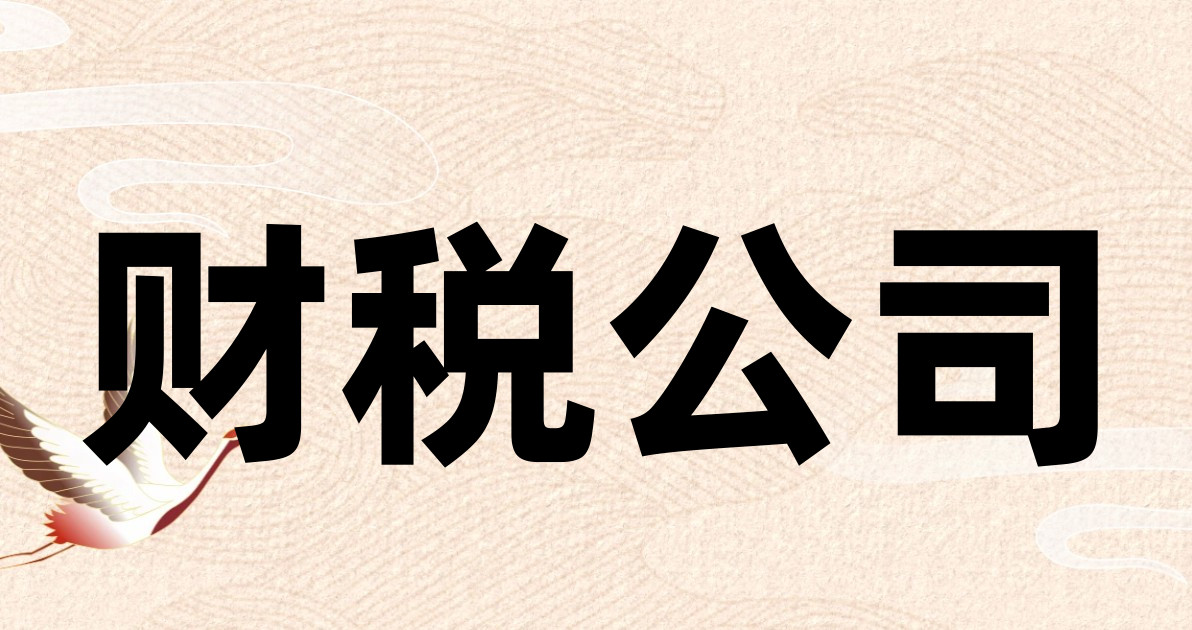 财税公司