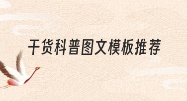 干货科普图文模板推荐：提升网站流量必选
