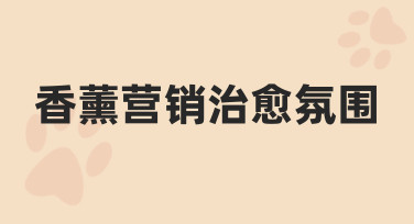 香薰营销治愈氛围如何营造？从新手到进阶的实用思路