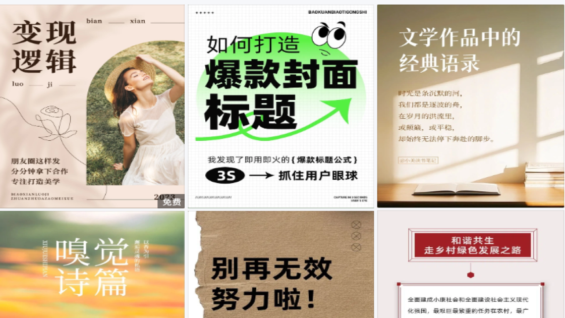 双十二干货科普小红书首图