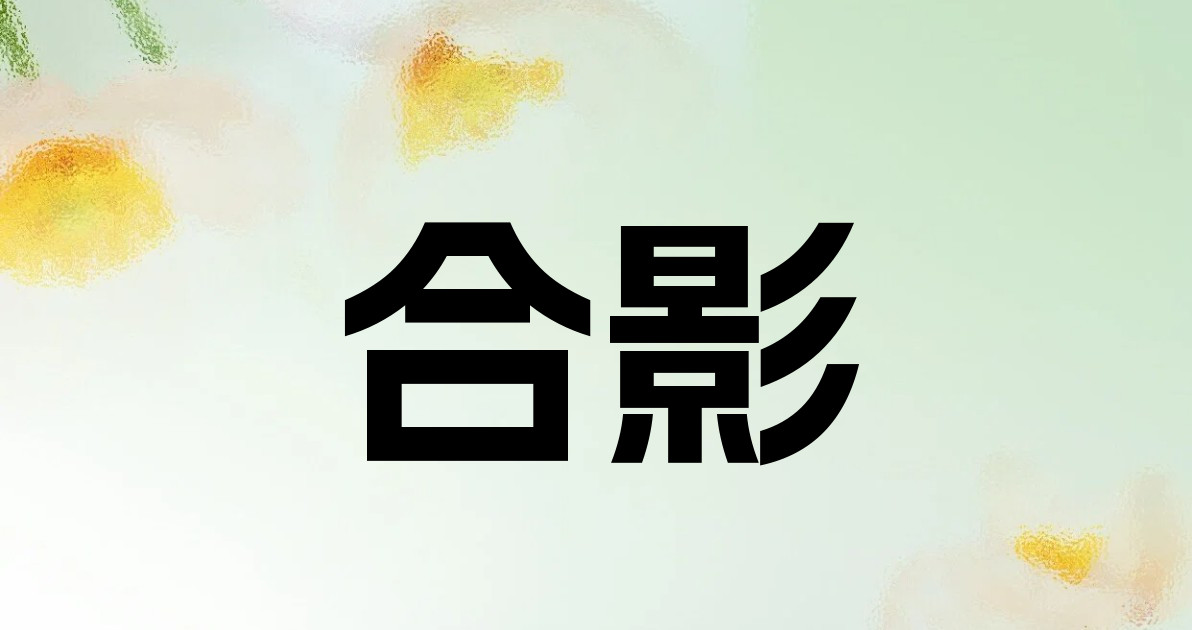 合影