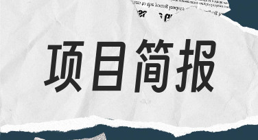 项目简报模板使用指南：快速完成专业设计