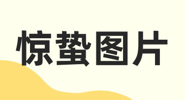 如何制作一张应景的惊蛰图片，满足节气传播需求