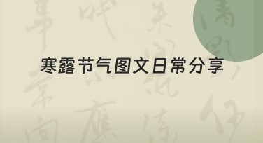 寒露节气图文日常分享怎么做？实用思路与方法指南