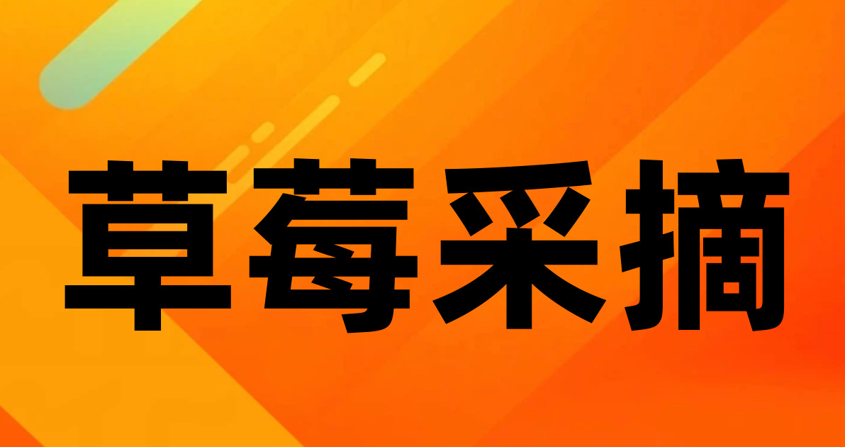 草莓采摘