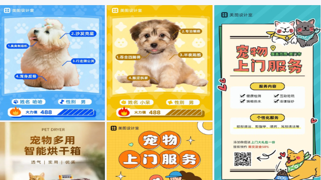 宠物介绍