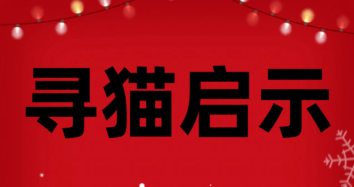 寻猫启示