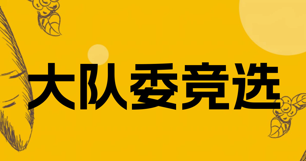 大队委竞选