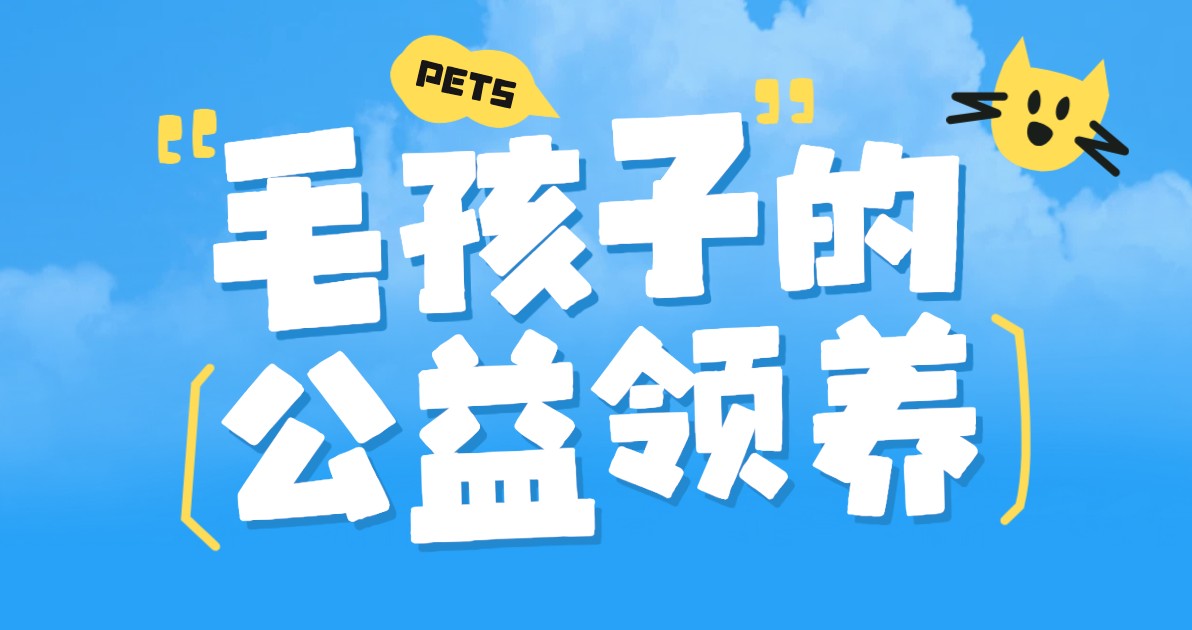 宠物领养活动海报