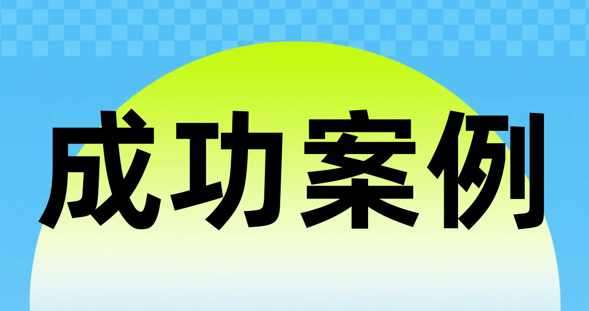 成功案例