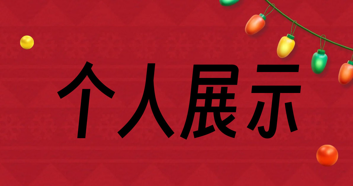 个人展示