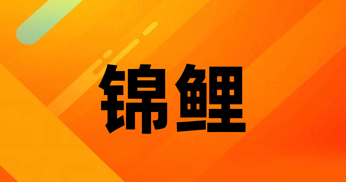 锦鲤