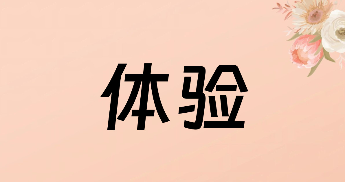 体验