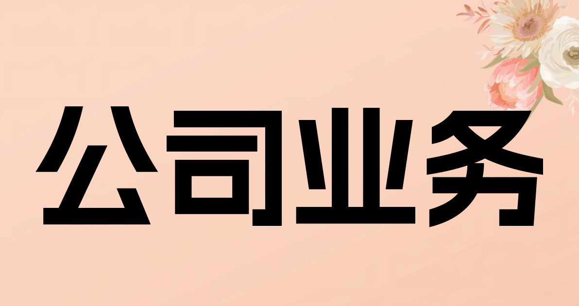 公司业务