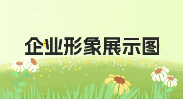 企业形象展示图的网站设计指南：为您提供全面高效服务