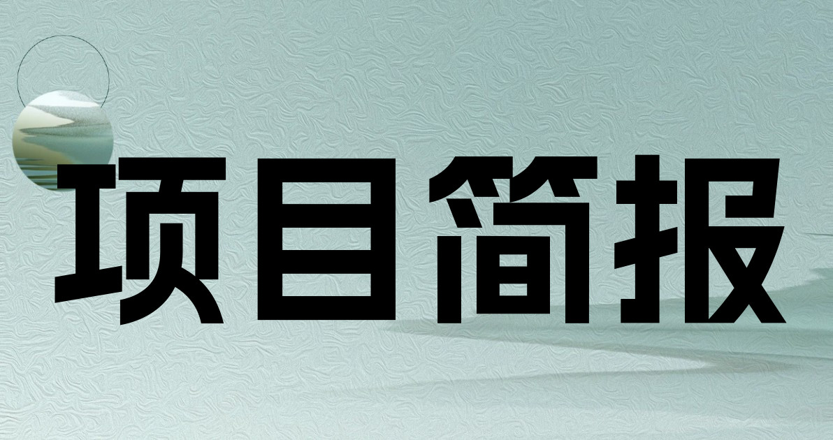 项目简报
