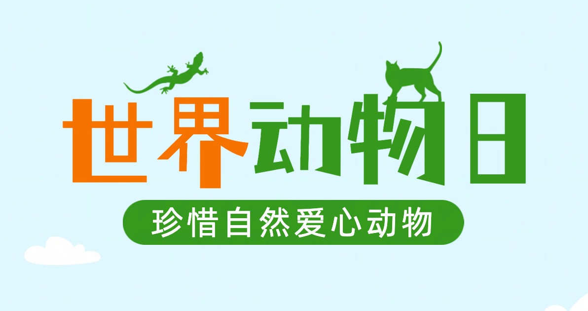 世界动物日宣传海报
