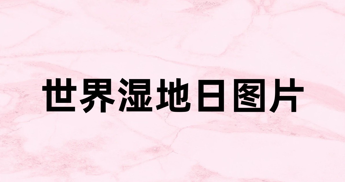 世界湿地日图片