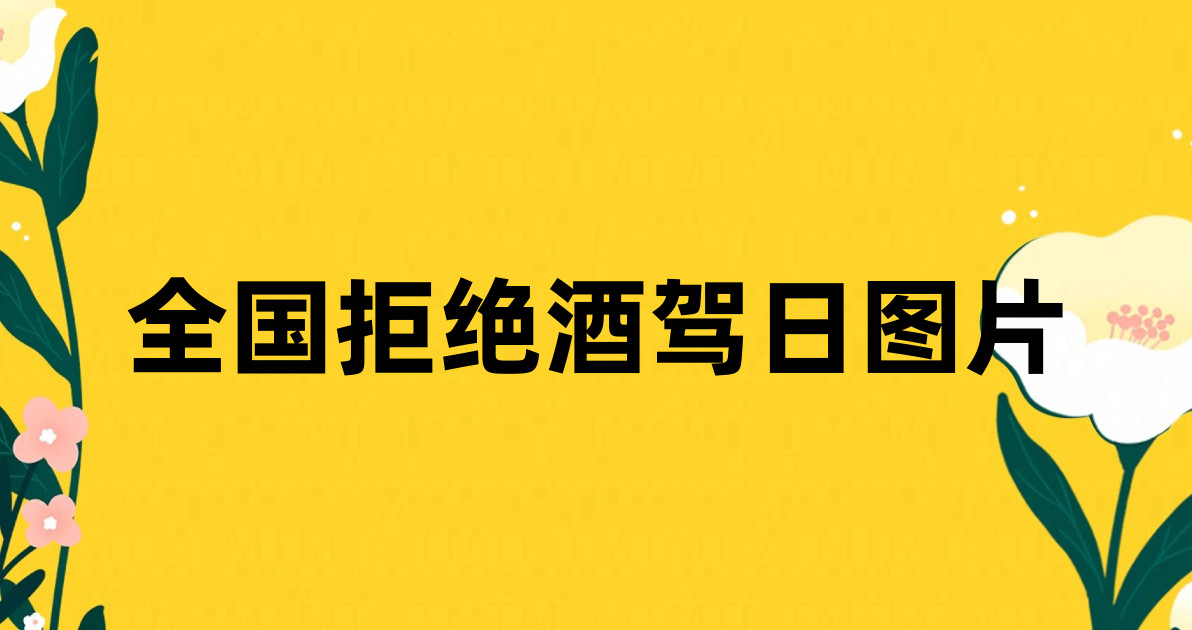 全国拒绝酒驾日图片
