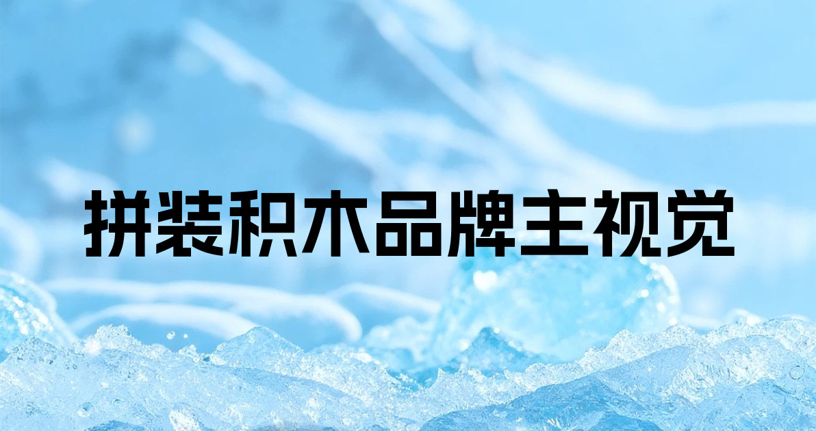 拼装积木品牌主视觉