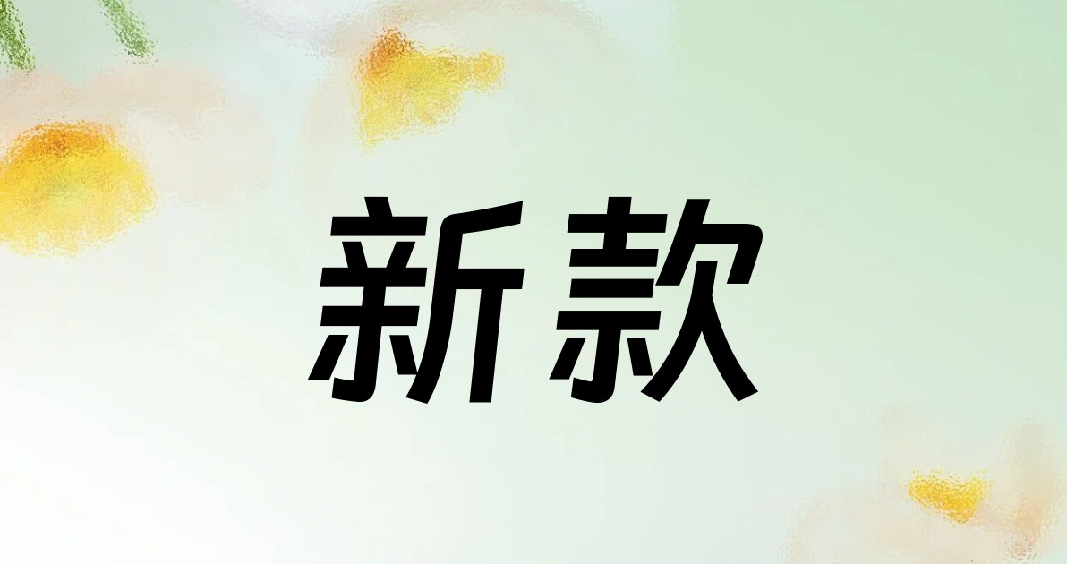 新款