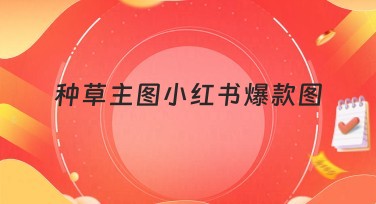 种草主图小红书爆款图攻略：解锁个性化设计之道