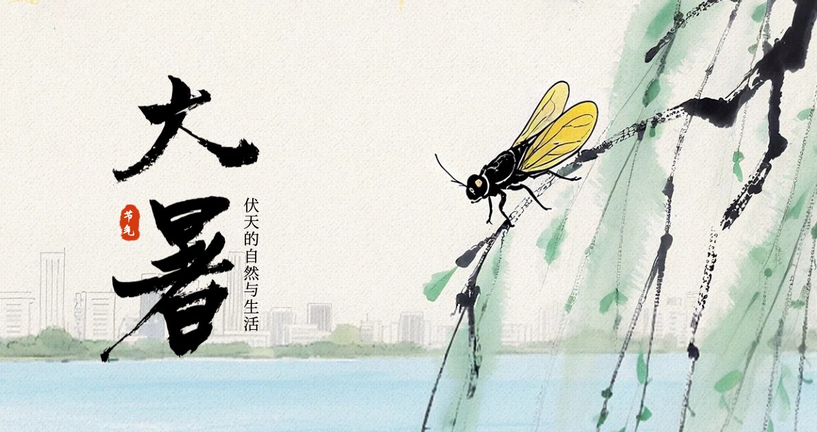 大暑节气科普图
