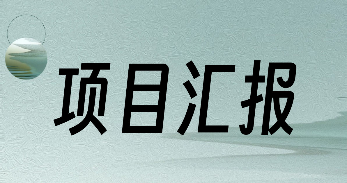 项目汇报
