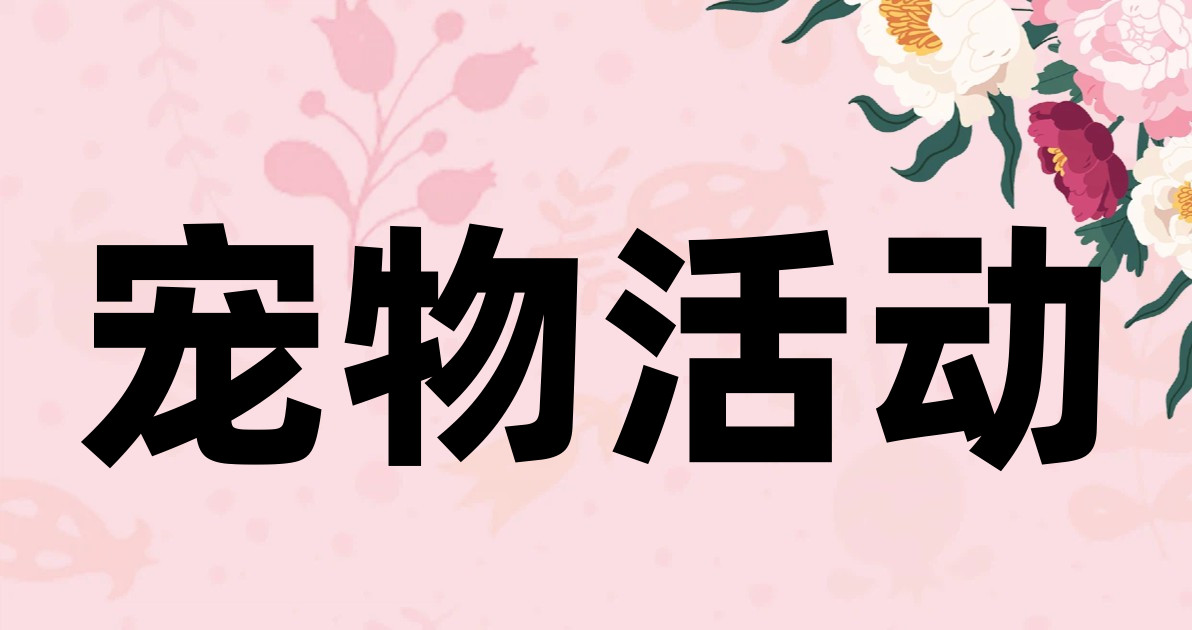 宠物活动