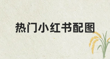 轻松搞定热门小红书配图：模板微调快速出图指南