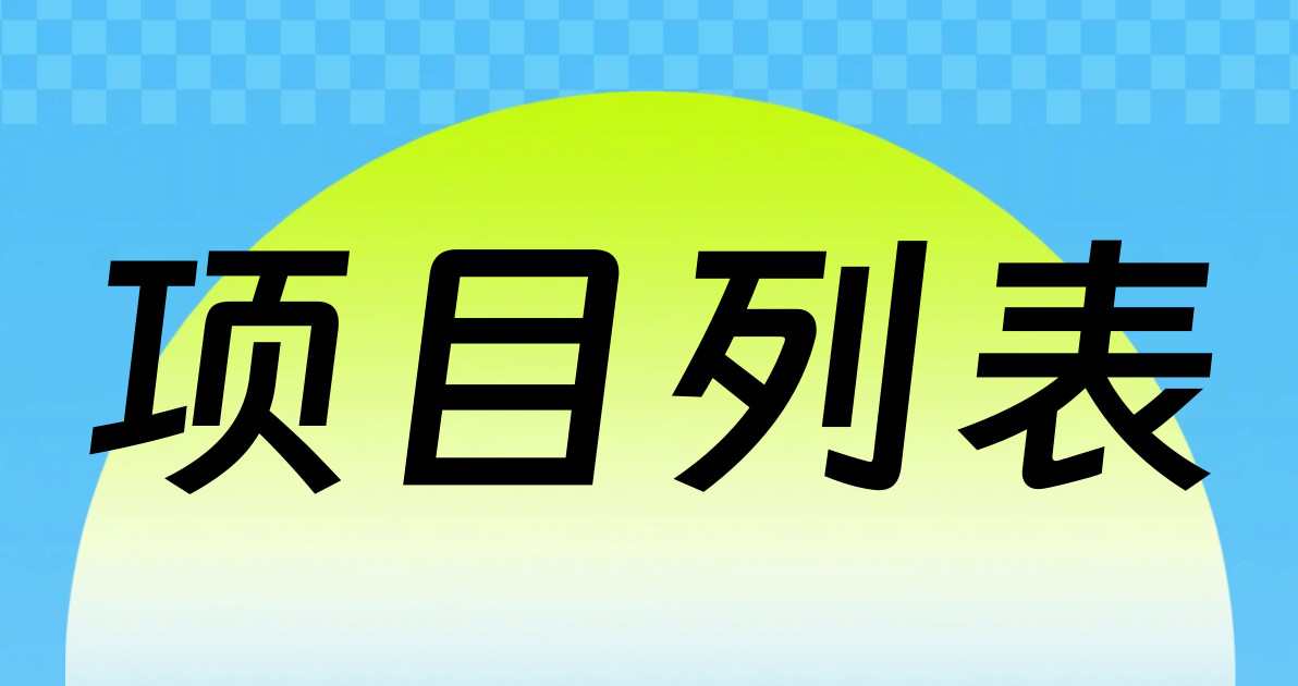 项目列表