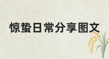 惊蛰日常分享图文制作指南：从思路到落地的完整经验