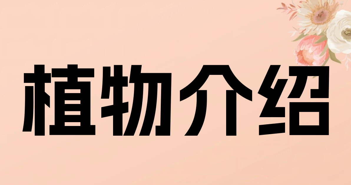 植物介绍