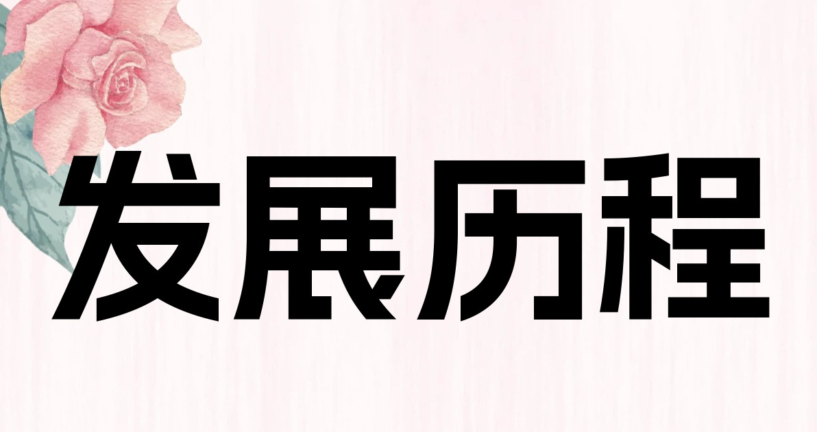 发展历程