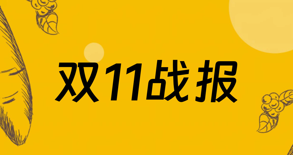 双11战报