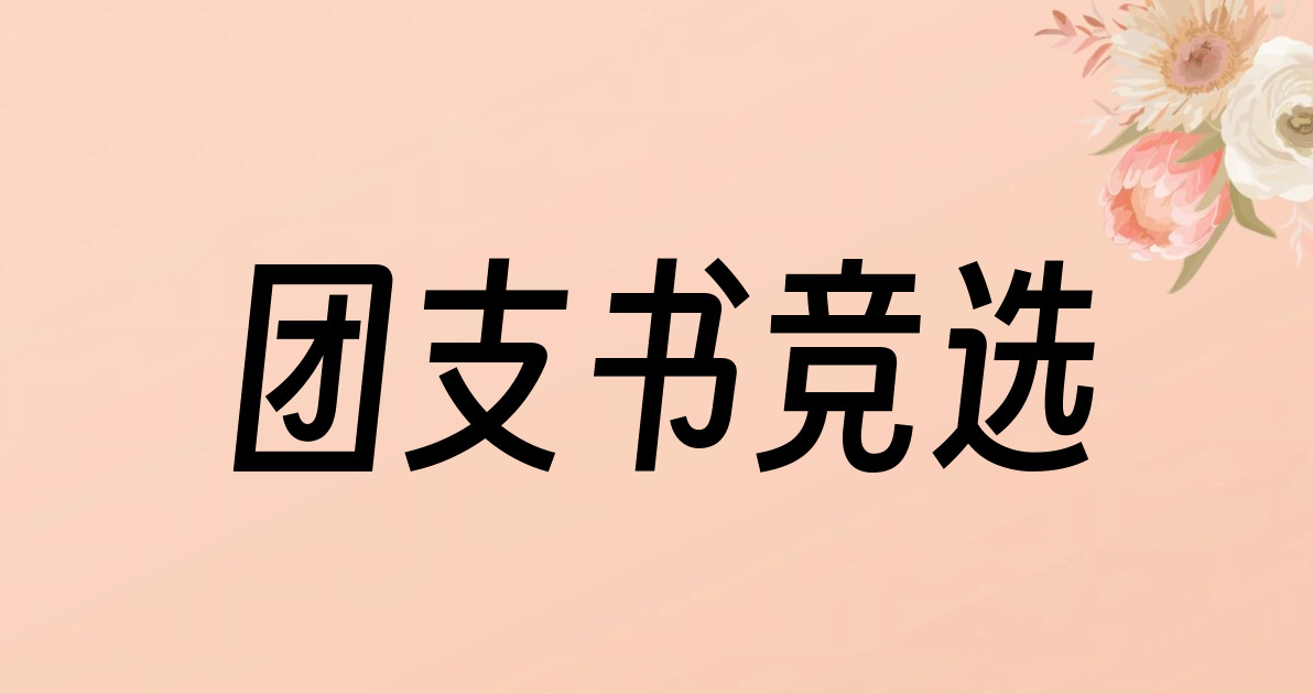 团支书竞选